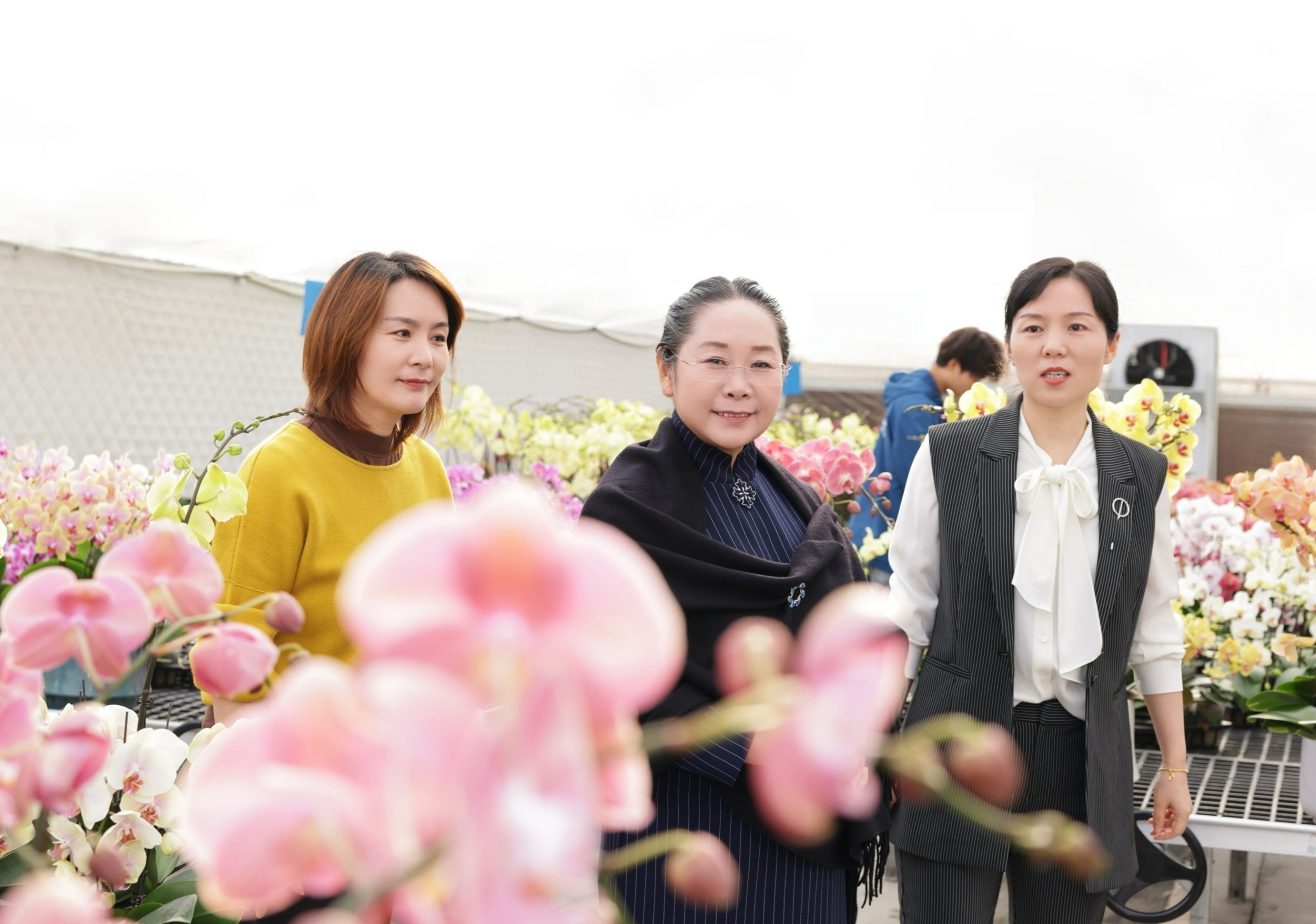 圖片關(guān)鍵詞