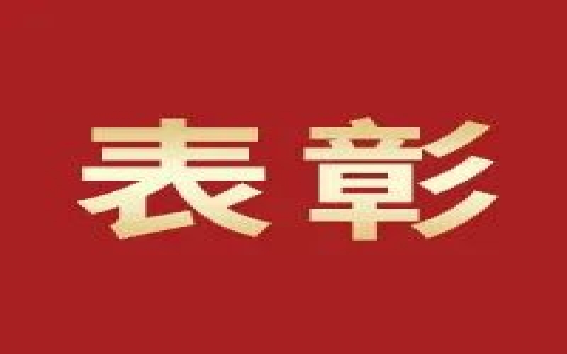 奮進(jìn)2023，這些集體和個(gè)人無(wú)上“榮”光