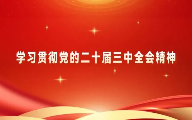學(xué)習(xí)貫徹黨的二十屆三中全會(huì)精神 - 榮程青年為推進(jìn)中國(guó)式現(xiàn)代化挺膺擔(dān)當(dāng)（三）